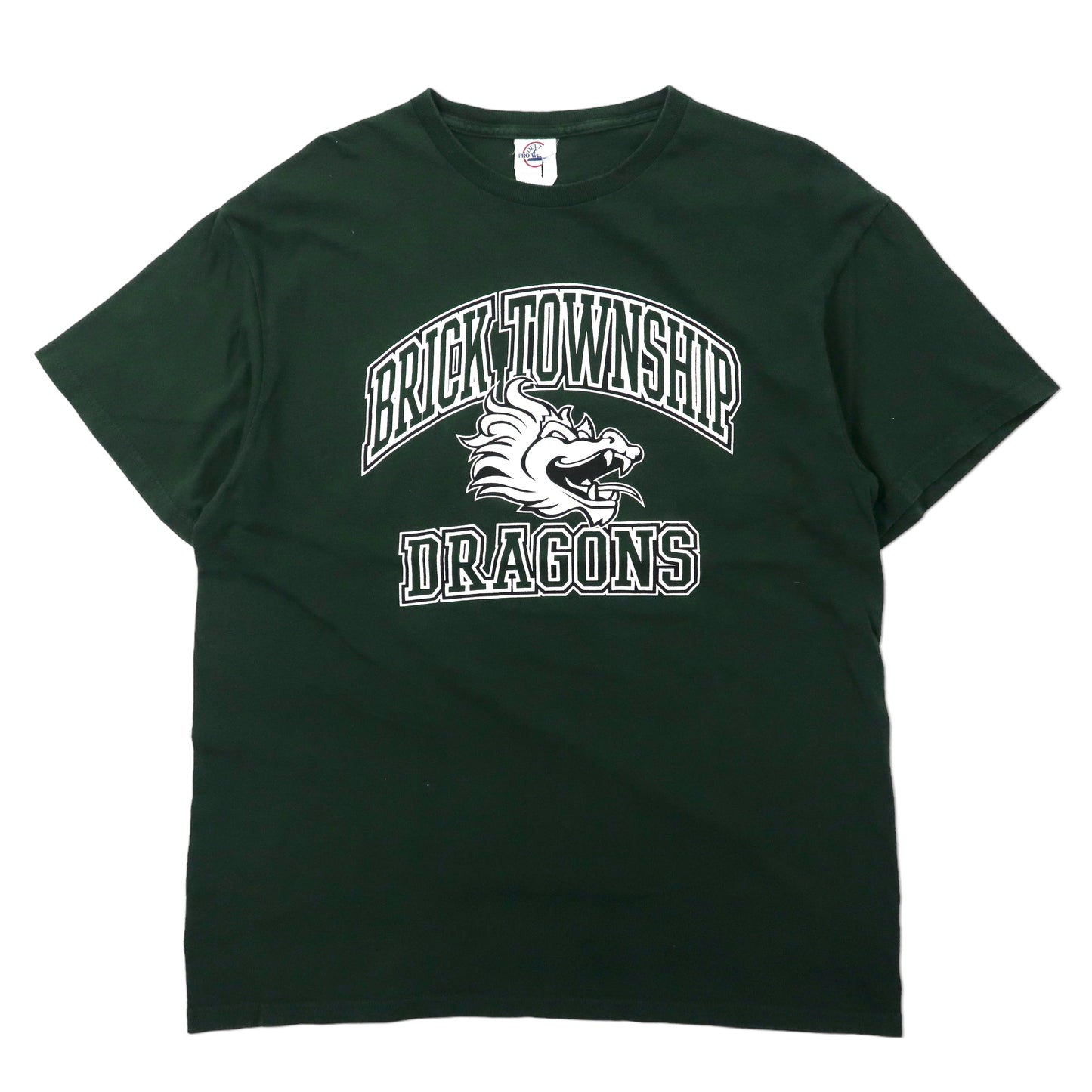 DELTA カレッジプリントTシャツ L グリーン コットン BRICK TOWN SHIP DRAGONS