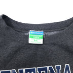 Champion College Print Sweatshirt XXL Gray Cotton Brushed Back CENTENARY COLLEGE Big Size Made in Honduras