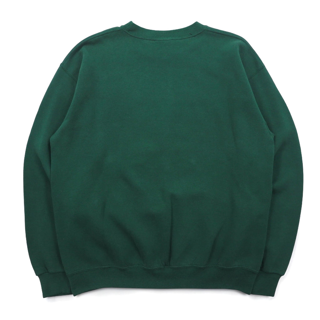 SANTEE by PLUMA USA made 90s NCAA college print sweatshirt L green fleece Miami Hurricanes