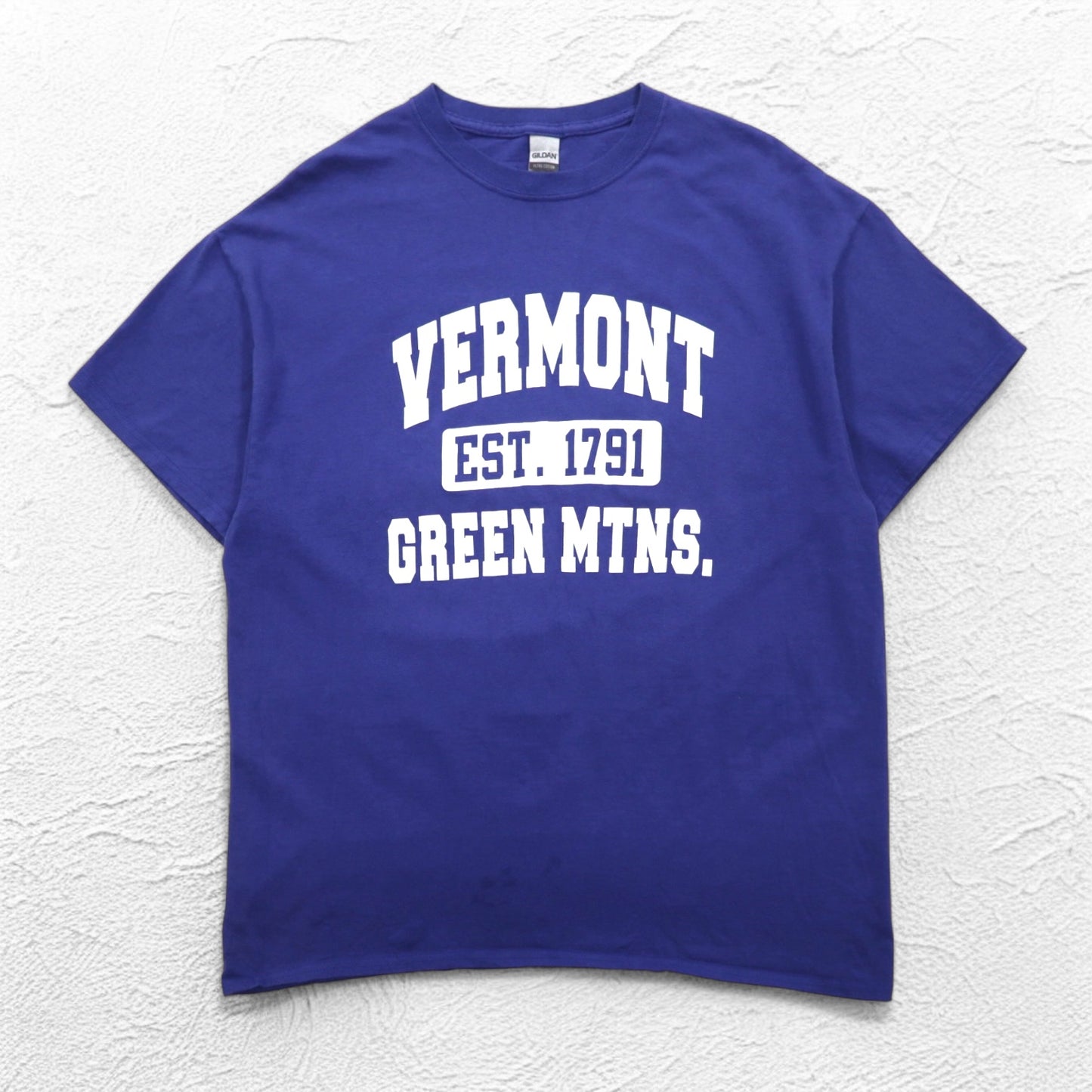 GILDAN カレッジプリント ULTRA COTTON 3段プリント Tシャツ XL ブルー アーチロゴ VERMONT GREEN MTNS