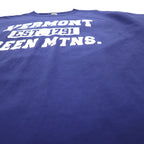 GILDAN カレッジプリント ULTRA COTTON 3段プリント Tシャツ XL ブルー アーチロゴ VERMONT GREEN MTNS