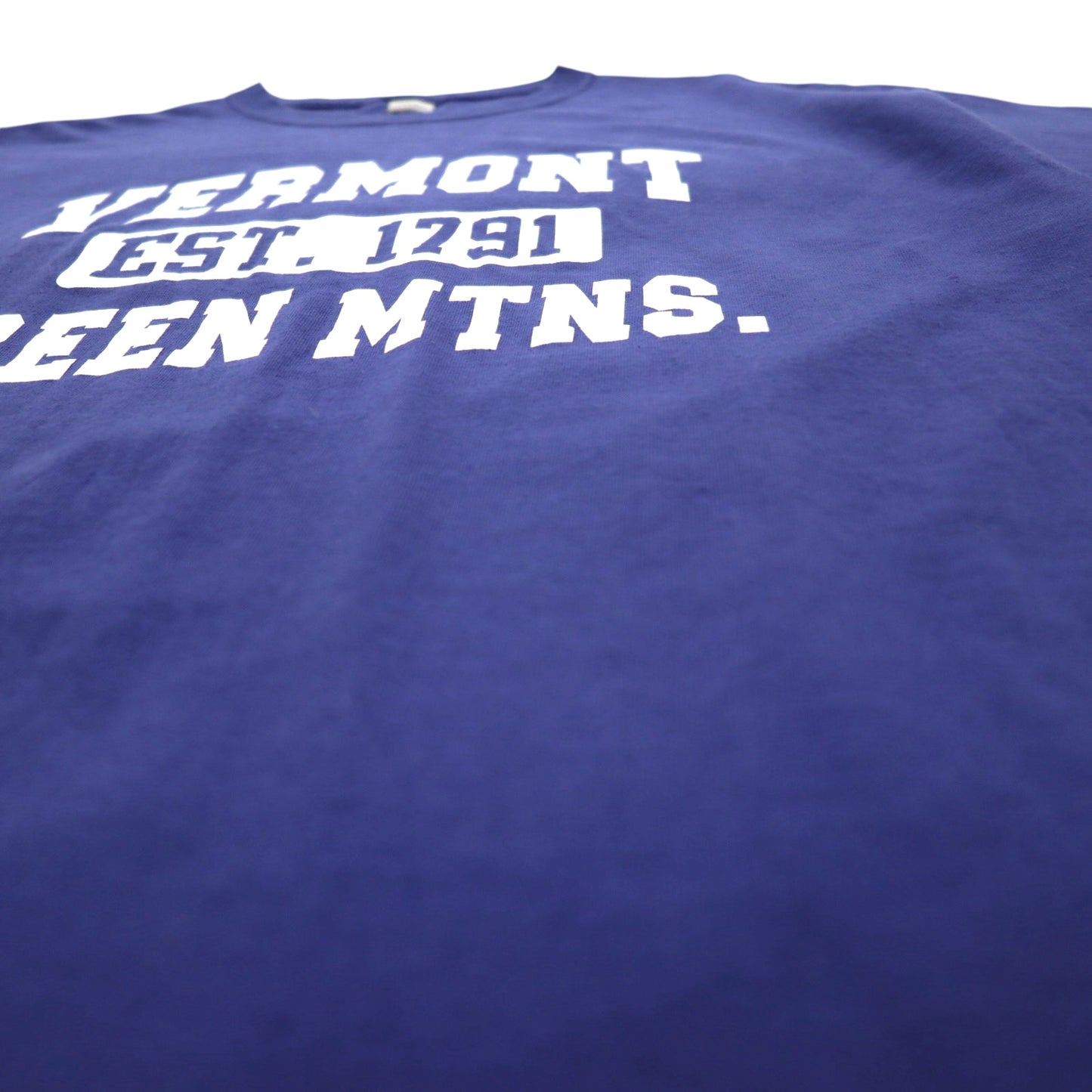 GILDAN カレッジプリント ULTRA COTTON 3段プリント Tシャツ XL ブルー アーチロゴ VERMONT GREEN MTNS