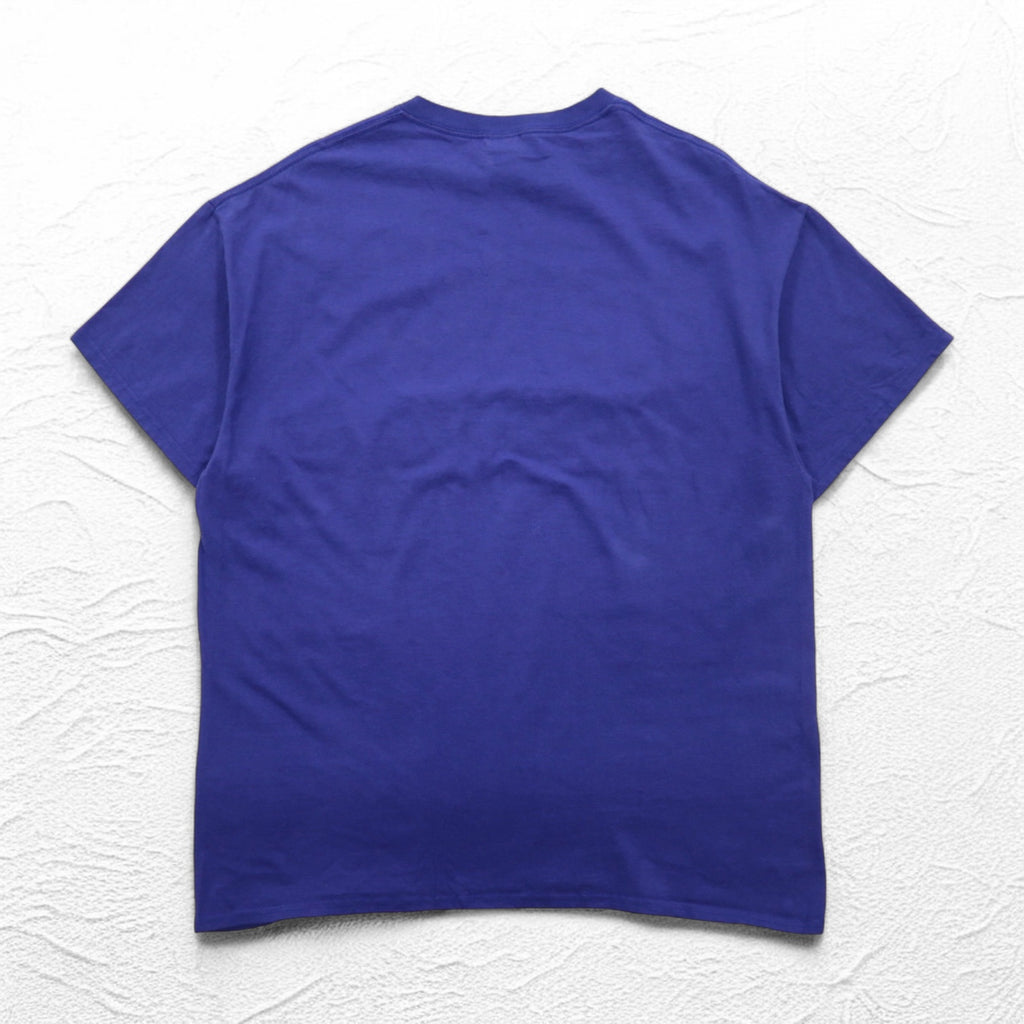GILDAN カレッジプリント ULTRA COTTON 3段プリント Tシャツ XL ブルー アーチロゴ VERMONT GREEN MTNS