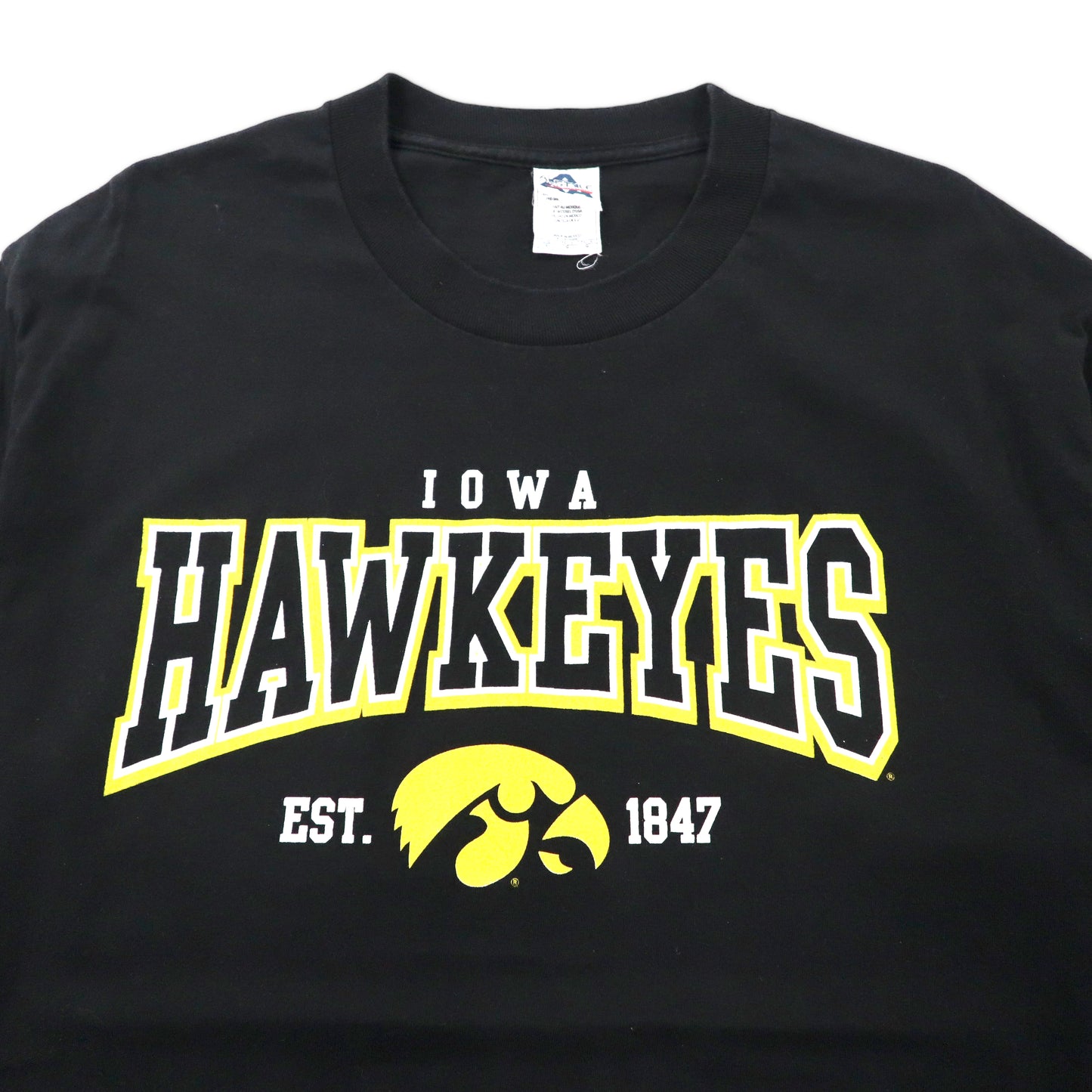 AAA ALSTYLE Iowa Hawkeyes 90年代 カレッジプリントTシャツ L ブラック コットン メキシコ製