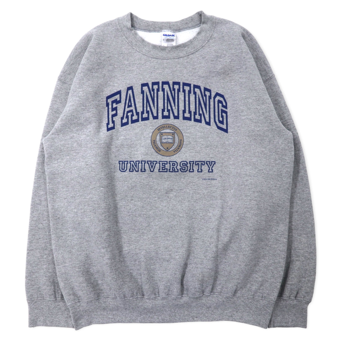 日本然リトテ-古着オンライン-GILDAN 00年代 カレッジ プリント スウェット L グレー コットン 裏起毛 FANNING UNIVERSITY ビッグサイズ メキシコ製-GILDAN 00's College Print Sweatshirt L Gray Cotton brushed lining FANNING UNIVERSITY Big Size Mexico Made