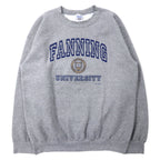 日本然リトテ-古着オンライン-GILDAN 00年代 カレッジ プリント スウェット L グレー コットン 裏起毛 FANNING UNIVERSITY ビッグサイズ メキシコ製-GILDAN 00's College Print Sweatshirt L Gray Cotton brushed lining FANNING UNIVERSITY Big Size Mexico Made