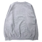 GILDAN 00's College Print Sweatshirt L Gray Cotton Brushed Back FANNING UNIVERSITY Big Size Made in Mexico