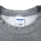 GILDAN 00's College Print Sweatshirt L Gray Cotton Brushed Back FANNING UNIVERSITY Big Size Made in Mexico
