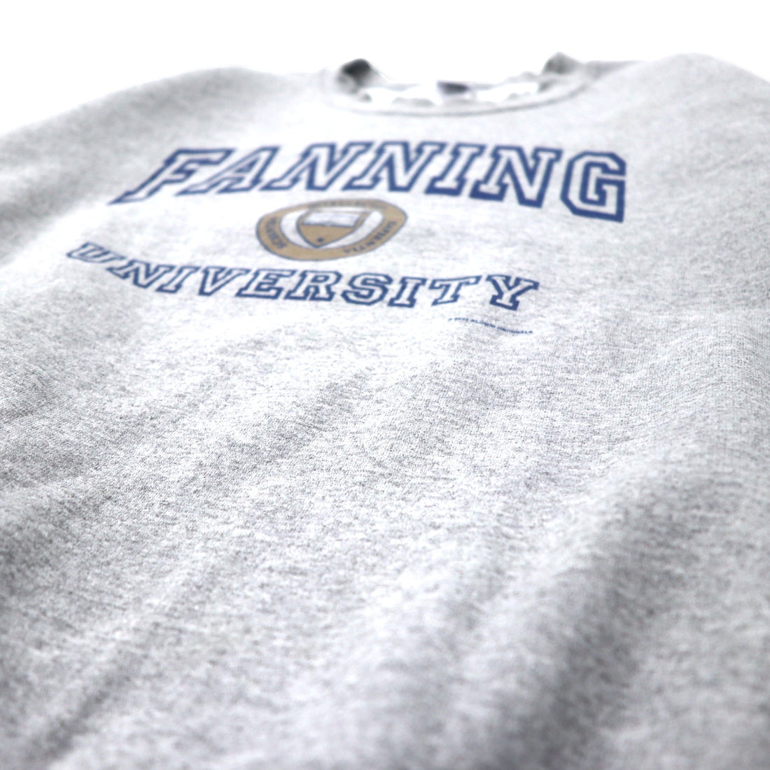 GILDAN 00's College Print Sweatshirt L Gray Cotton Brushed Back FANNING UNIVERSITY Big Size Made in Mexico