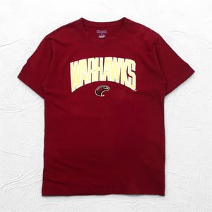 Champion カレッジ刺繍 Tシャツ XL ボルドー コットン WARHAWKS アーチロゴ