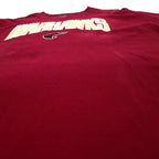Champion カレッジ刺繍 Tシャツ XL ボルドー コットン WARHAWKS アーチロゴ