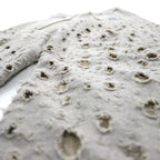 SUGARHILL Crushed Sweat Trousers, Size M, Gray, Distressed Finish, Made in Japan