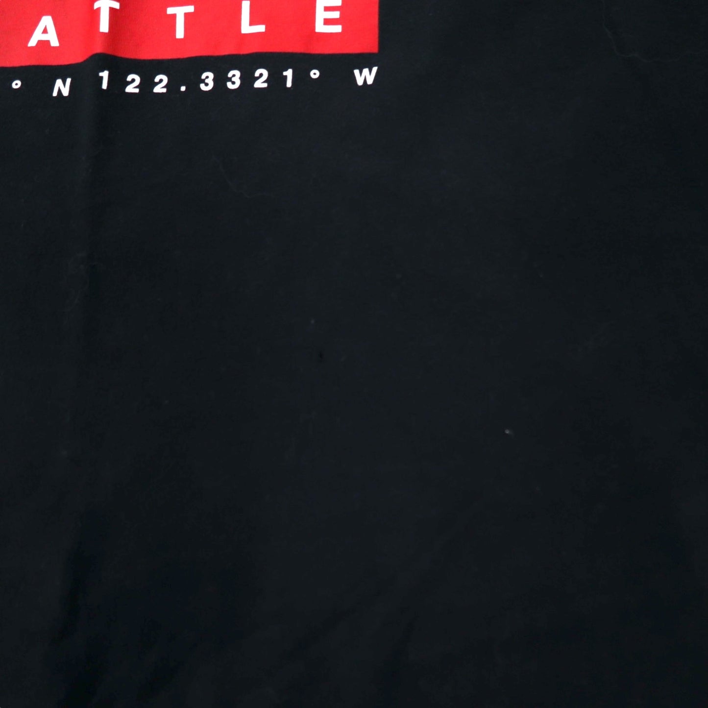 THE NORTH FACE スタンダードフィット ロゴプリント Tシャツ XL ブラック コットン SEATTLE US規格 エルサルバドル製