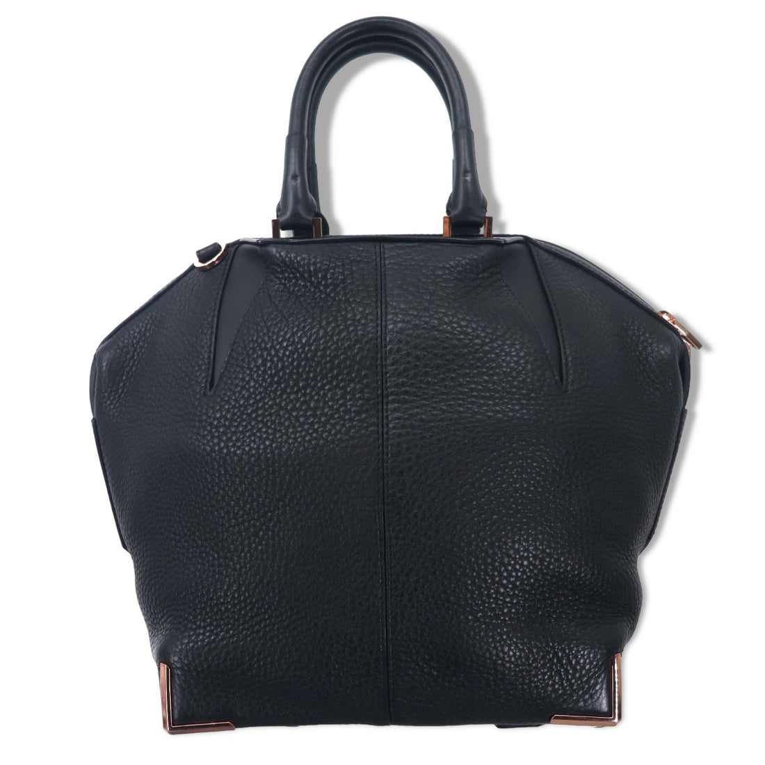 Alexander Wang Emile 2WAY Shoulder Bag Handbag Black Leather Grained Leather EMILE
