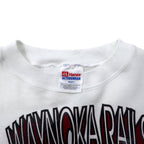 Hanes USA製 90年代 ACTIVE WEAR フットボール プリント スウェット L ホワイト コットン 裏起毛 両面プリント WAYNOKA RAILS
