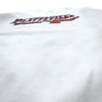 USA made 90s FRUIT OF THE LOOM print sweatshirt XXL white NCAA Wisconsin Platteville Pioneers