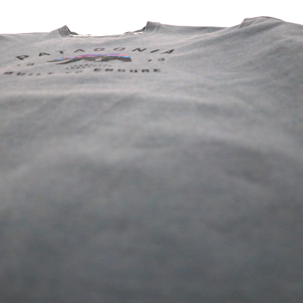 Patagonia Bear Print Crew Sweatshirt, Size 2XL, Blue, Fleece-Lined, 39544