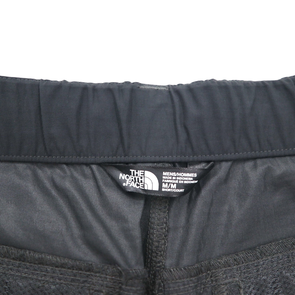 THE NORTH FACE Convertible 2-Way Wide Cargo Pants, Size M, Gray Nylon, US Standard, Paramount Peak II, A4J0