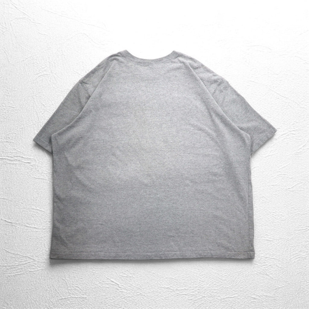 carhartt ビッグサイズ ポケット Tシャツ ポケTee 4XL ORIGINAL FIT グレー ホンジュラス製