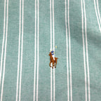 Ralph Lauren 90s Oxford Button-Down Shirt, XL, Green, Striped, Small Pony Embroidery