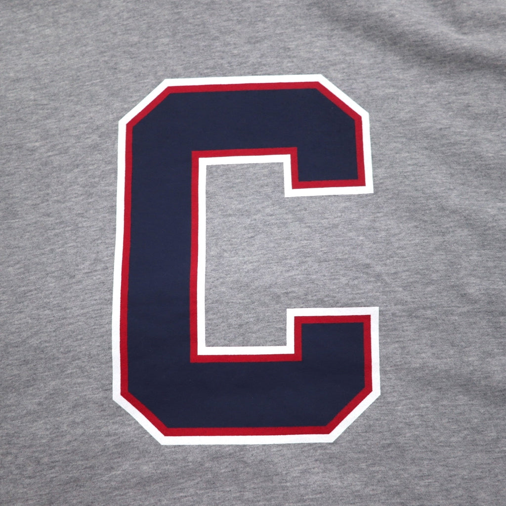 Champion Pullover Hoodie XL Grey Cotton Back Print CORTLAND C8-U112