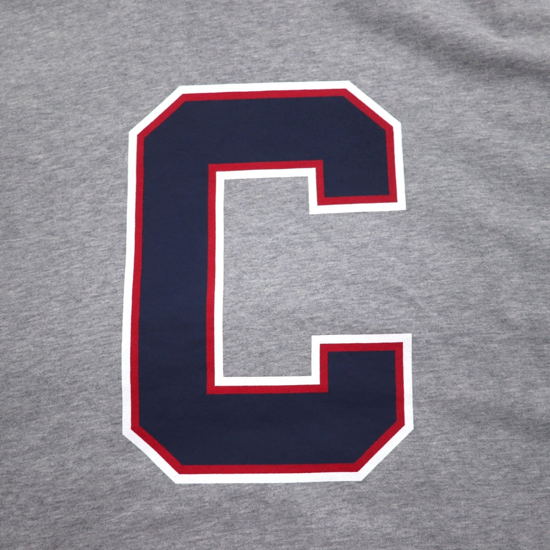 Champion Pullover Hoodie XL Grey Cotton Back Print CORTLAND C8-U112