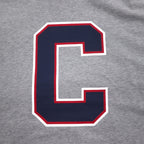 Champion Pullover Hoodie XL Grey Cotton Back Print CORTLAND C8-U112