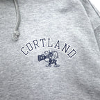 Champion Pullover Hoodie XL Grey Cotton Back Print CORTLAND C8-U112