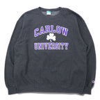 日本然リトテ-古着オンライン-Champion ECO カレッジ プリント スウェット XL グレー コットン 裏起毛 CARLOW UNIVERSITY アーチロゴ 3段 ホンジュラス製-Champion ECO College Print Sweatshirt XL Gray Cotton brushed lining CARLOW UNIVERSITY Arch Logo 3 Tier Honduras Made