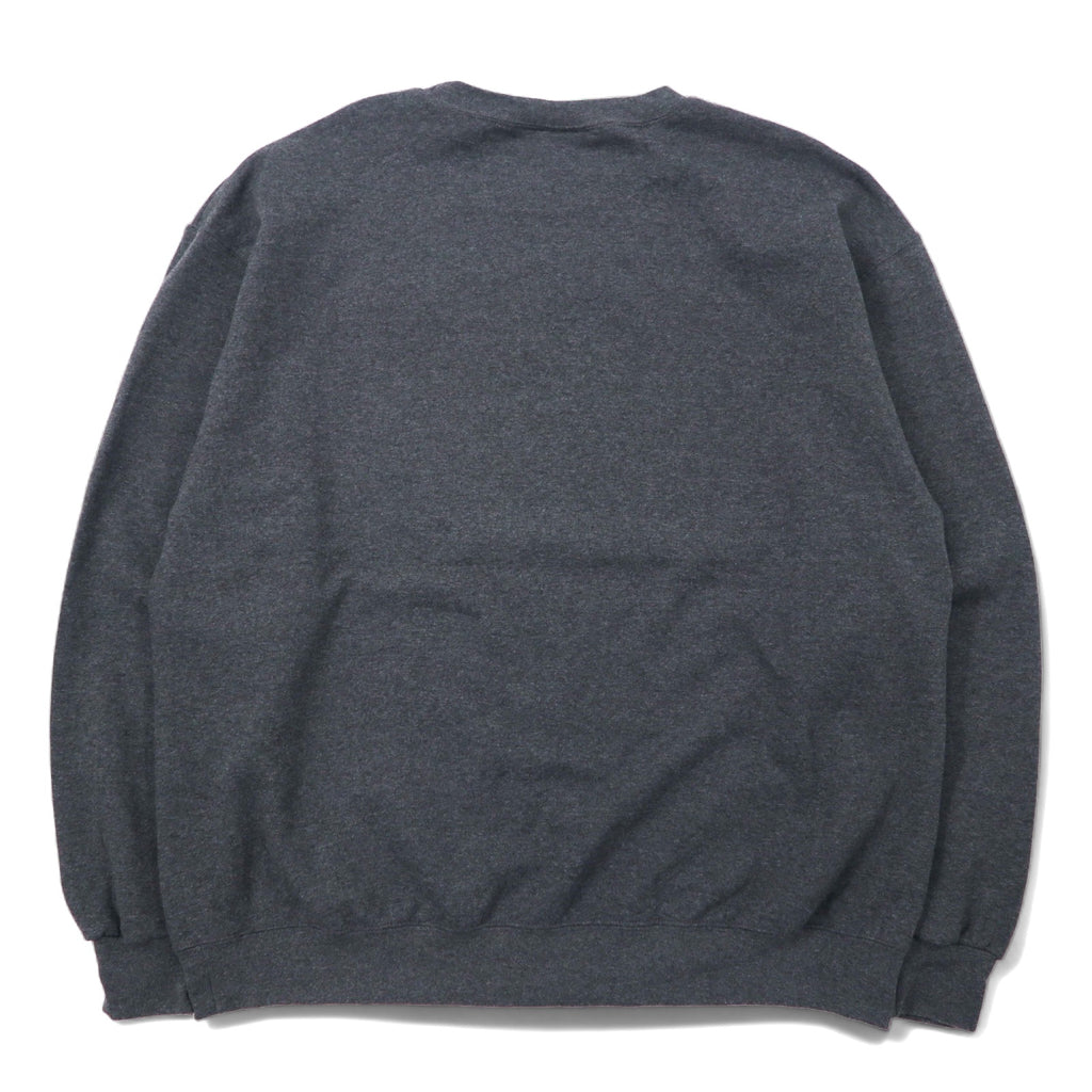 Champion ECO College Print Sweatshirt, XL, Grey, Cotton, Fleece Lining, CARLOW UNIVERSITY Arch Logo, 3 Tier, Made in Honduras