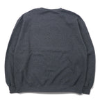Champion ECO College Print Sweatshirt, XL, Grey, Cotton, Fleece Lining, CARLOW UNIVERSITY Arch Logo, 3 Tier, Made in Honduras