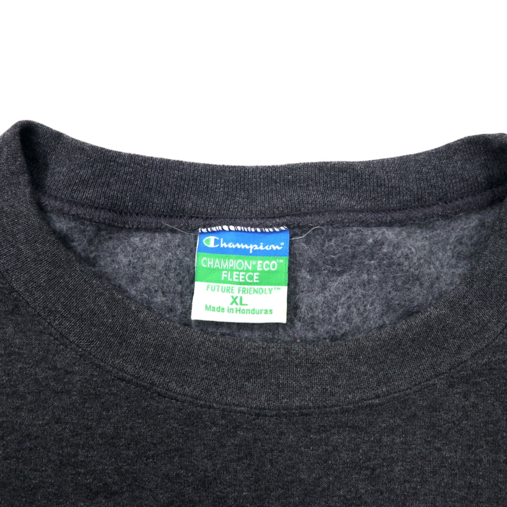 Champion ECO College Print Sweatshirt, XL, Grey, Cotton, Fleece Lining, CARLOW UNIVERSITY Arch Logo, 3 Tier, Made in Honduras