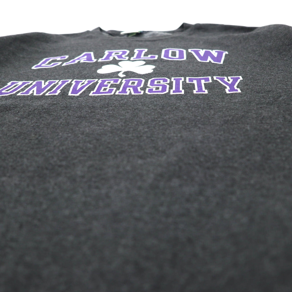 Champion ECO College Print Sweatshirt, XL, Grey, Cotton, Fleece Lining, CARLOW UNIVERSITY Arch Logo, 3 Tier, Made in Honduras