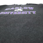Champion ECO College Print Sweatshirt, XL, Grey, Cotton, Fleece Lining, CARLOW UNIVERSITY Arch Logo, 3 Tier, Made in Honduras