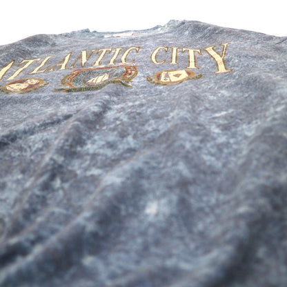 Vintage 90s USA Made Sweatshirt Feathers 90年代 ストーンウォッシュ スウェット L ブルー ATLANTIC CITY