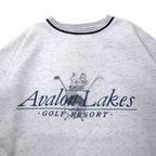 90s GEAR FOR SPORTS Ribline Sweatshirt L Grey Cotton Polyester Avalon Lake