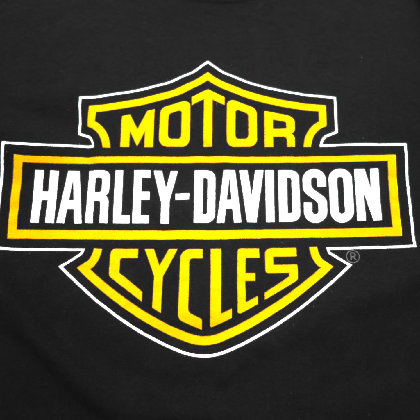 HARLEY DAVIDSON Double-sided Print T-shirt L Black Cotton FOUR RIVERS