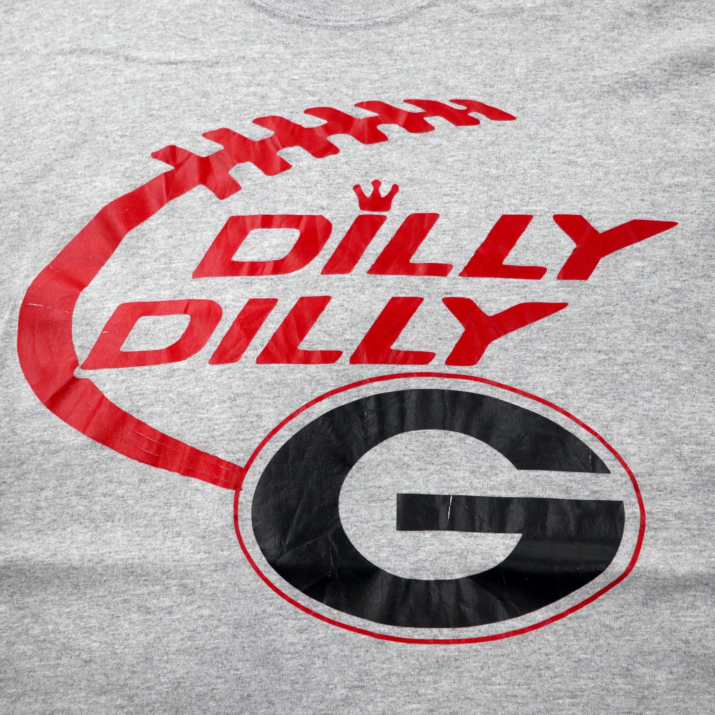 GILDAN NFL GREEN BAY PACKERS プリントTシャツ 2XL グレー コットン DILLY DILLY ビッグサイズ