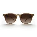 Ray-Ban Boston Wellington Sunglasses, Round Gradient, RB4259-F, 6166/13, 53-20, 150, 3N, Made in Italy