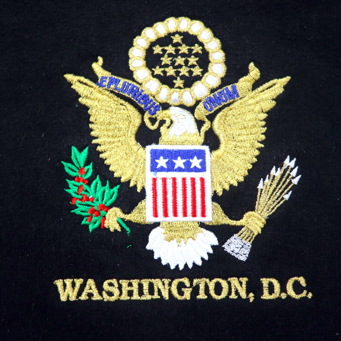BAY SIDE USA製 スウェット M ブラック エンブレム 刺繍 コットン 裏起毛 WASHINGTON D.C. ビッグサイズ