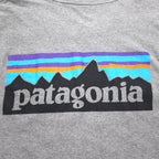 Patagonia P-6 Logo Cotton T-Shirt 2XL Grey Back Print 38906