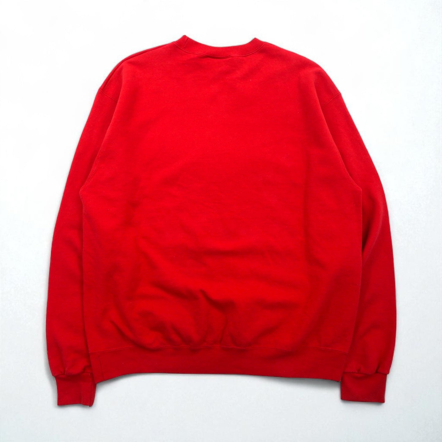 Champion カレッジプリント スウェット トレーナー XL レッド CENTRAL PIEDEMONT