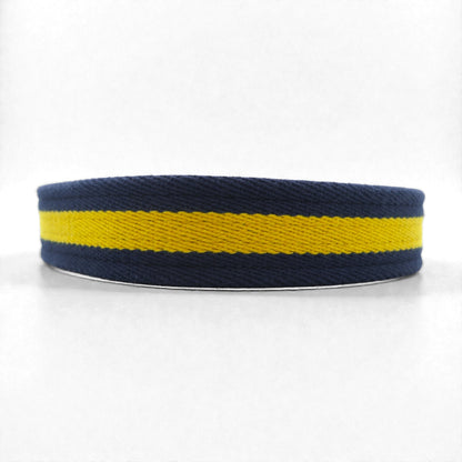 Polo Ralph Lauren  ウェブ ベルト ネイビー キャンバス ゴールド 真鍮 バックル