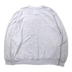 Champion USA Made 90s College Print Sweatshirt L Grey Cotton ALBRIGHT COLLEGE