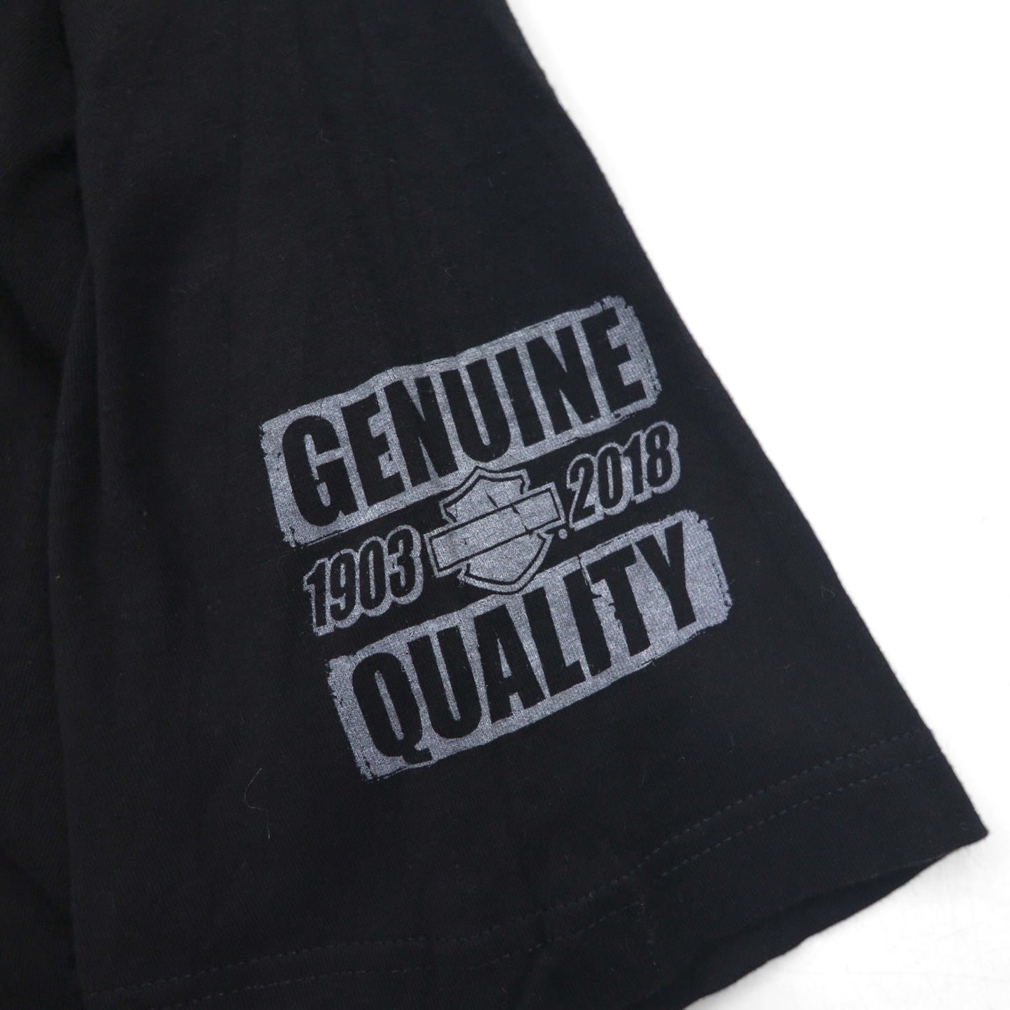 HARLEY DAVIDSON Double-sided Print V-neck T-shirt 2XL Black Bike WISCONSIN