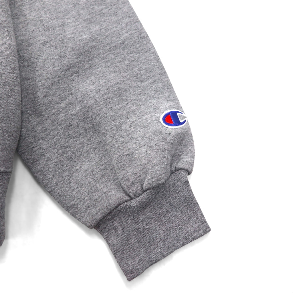 Champion 2000s College Print Pullover Hoodie, Size Small, Gray, Texas Christian University