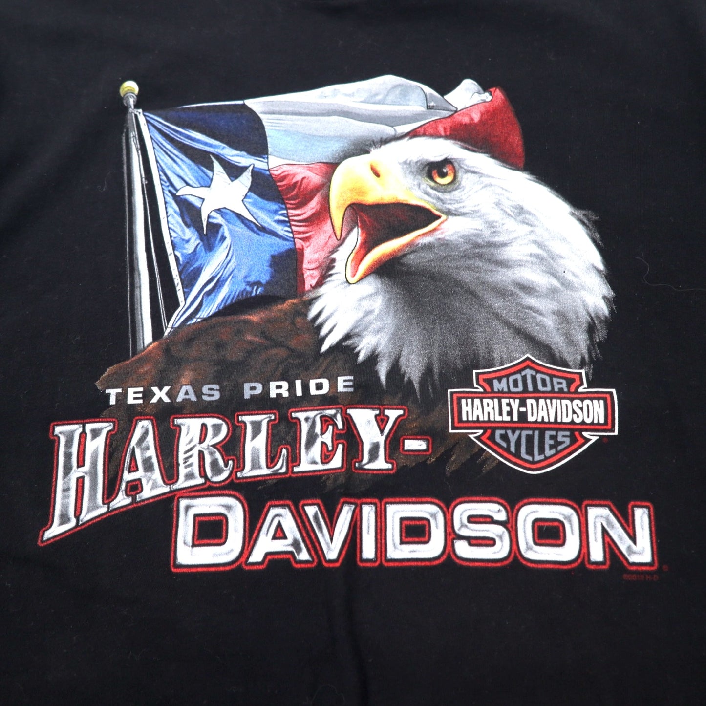 HARLEY DAVIDSON ロゴプリント Tシャツ L ブラック コットン 両面プリント EL PASO TEXAS ニカラグア製