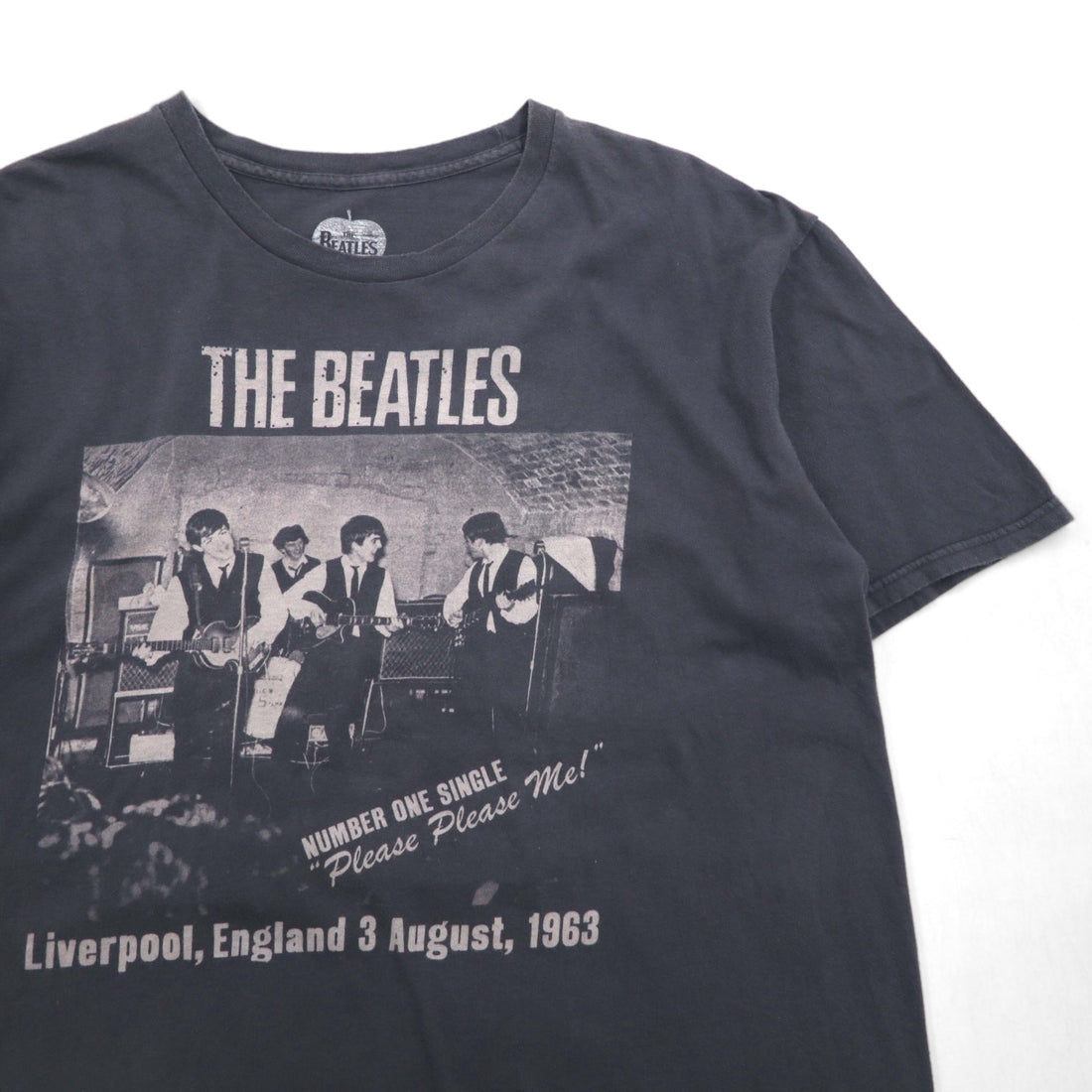 THE BEATLES Rock Band T-Shirt, Size L, Gray Cotton, PLEASE PLEASE ME, Made in Mexico