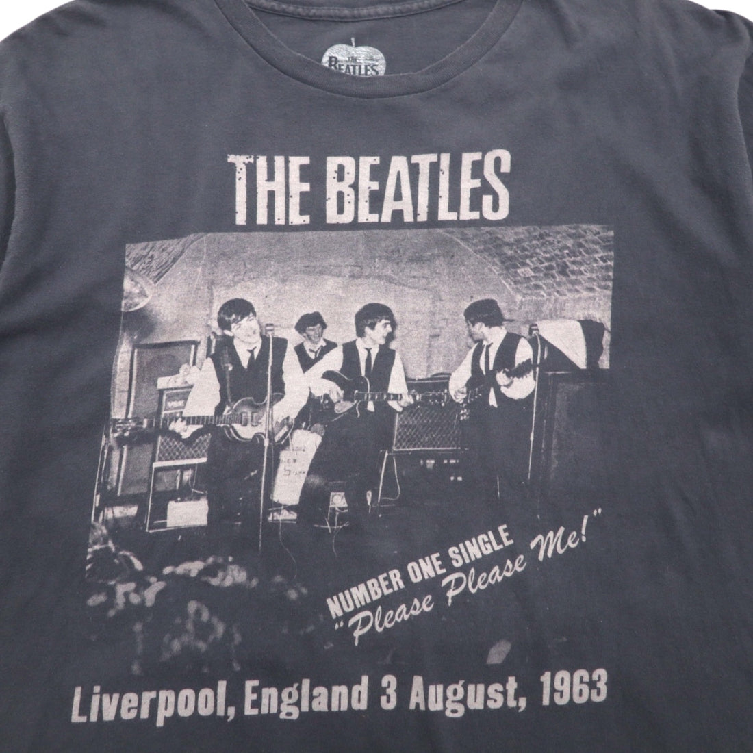 THE BEATLES Rock Band T-Shirt, Size L, Gray Cotton, PLEASE PLEASE ME, Made in Mexico