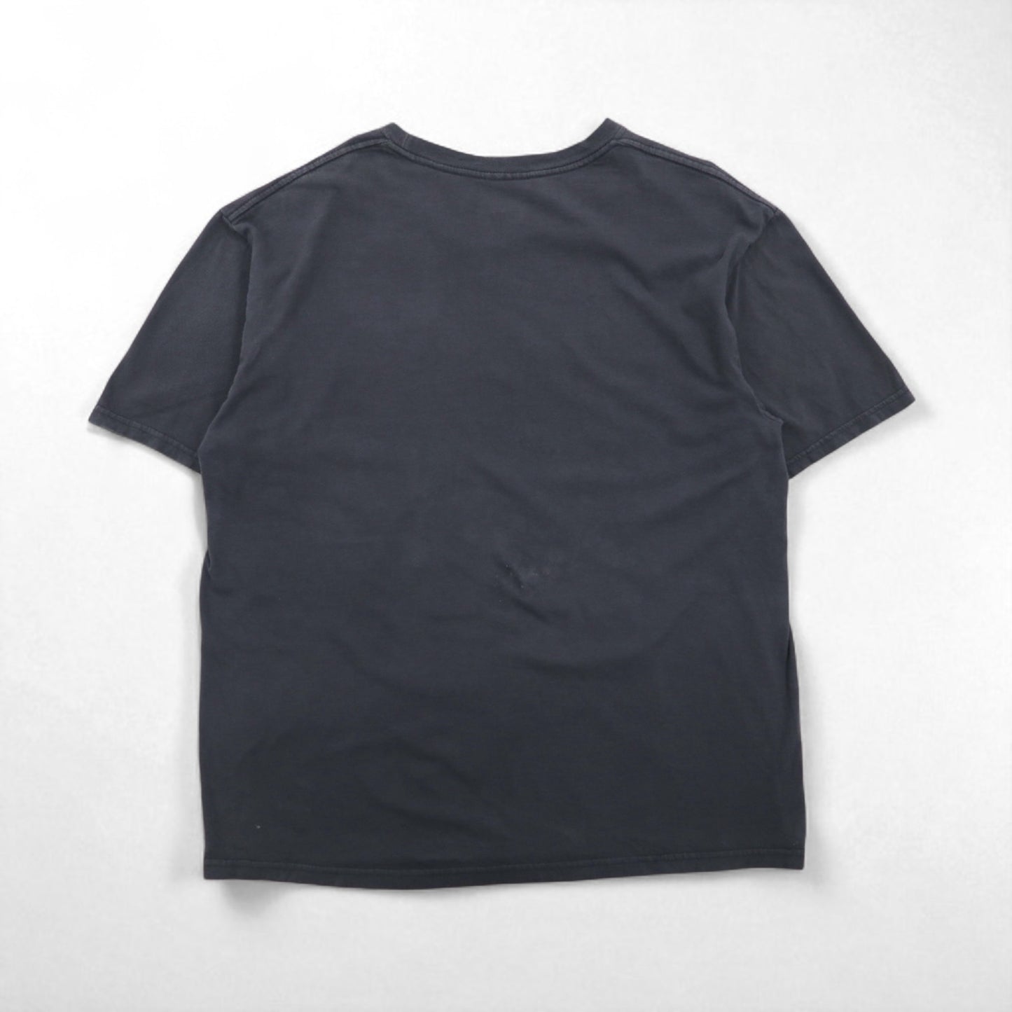 THE BEATLES ビートルズ ロック バンド Tシャツ L グレー コットン PLEASE PLEASE ME メキシコ製